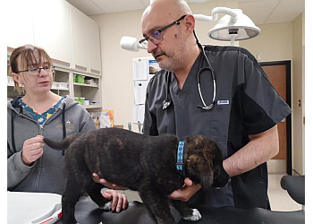 3 Best Veterinary Clinics In Prince George BC Expert Recommendations