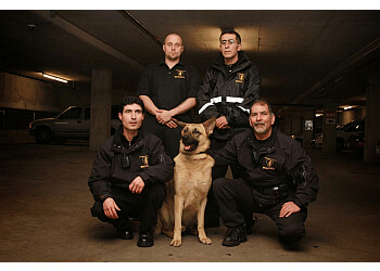 Coquitlam security guard company 10-4 k9 Security Services Inc. image 1