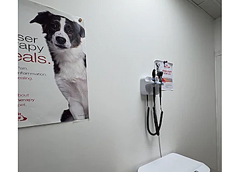 Surrey veterinary clinic 108 Avenue Animal Hospital