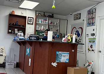 Surrey veterinary clinic 108 Avenue Animal Hospital