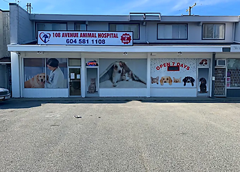 108 Avenue Animal Hospital Surrey veterinary clinic 108 Avenue Animal Hospital