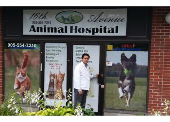 3 Best Veterinary Clinics in Markham, ON - ThreeBestRated