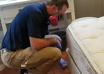 Delta pest control 1st Pest Control