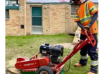 Medicine Hat Services d'arboriculteur 3 Little Birds Tree Care Inc.