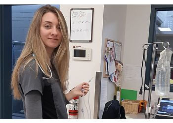 Halifax Cliniques Vétérinaires 4 Paws Veterinary Hospital