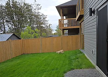 613 Fencing Inc. - Kingston, ON Fencing Contractors - Service Highlights