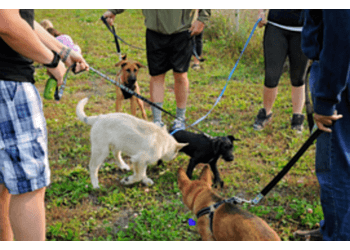 Edmonton dog trainer 780 Kennels