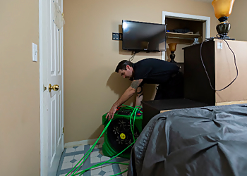 We Clean Pest Control - Edmonton, AB Pest Control - Pest Inspection Service Image