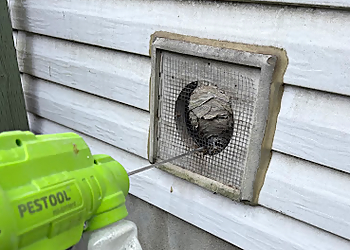 911 ExterminAction Saint Jerome - Saint Jerome, QC Services d'extermination de parasites - Wasp Control Image