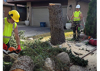 Kitchener Services d'arboriculteur A-1 Year Round Tree Service