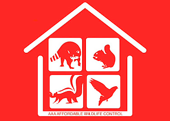 AAA Affordable Wildlife Control - Milton, ON Animal Removal - Company Logo