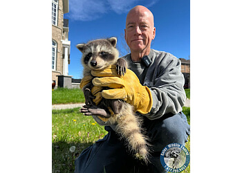 Markham animal removal AAA Gates' Wildlife Control