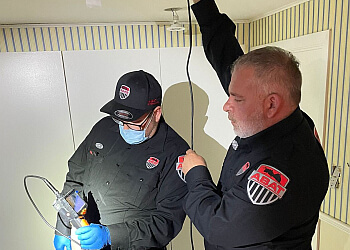 Levis pest control ABAT Extermination Lévis