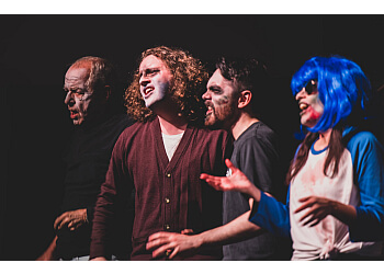 Sault Ste Marie videographer ACE Studios