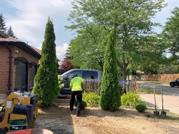 images/ACTreeService-Brampton-ON-review-1