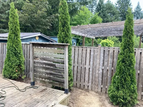 images/ACTreeService-Brampton-ON-review-2