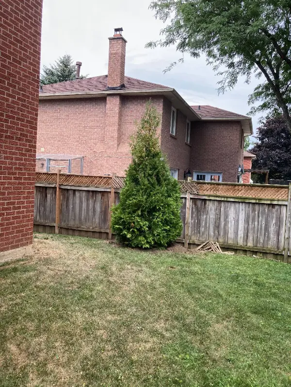 images/ACTreeService-Brampton-ON-review-3