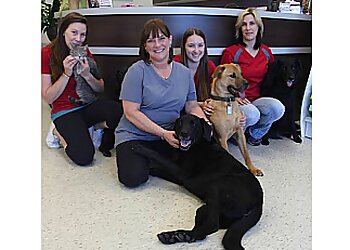 Moncton veterinary clinic Adeline Animal Hospital