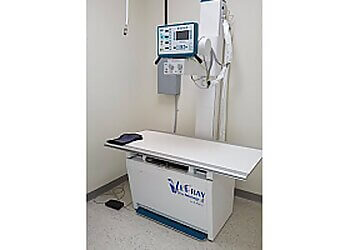 Moncton veterinary clinic Adeline Animal Hospital