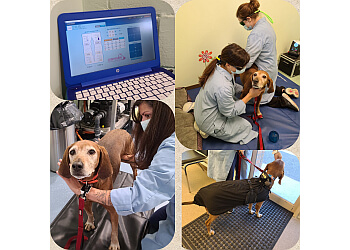 Ajax Cliniques Vétérinaires Ajax Animal Hospital