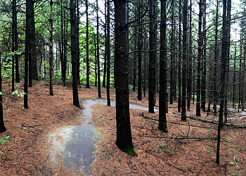 Caledon hiking trail Albion Hills Conservation Park