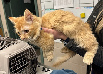Algonquin Animal Hospital - Ottawa, ON Cliniques Vétérinaires - Service Highlights