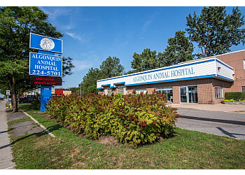 Ottawa veterinary clinic ALGONQUIN ANIMAL HOSPITAL image 1