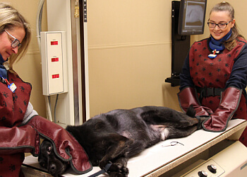 Barrie Cliniques Vétérinaires Allandale Veterinary Hospital