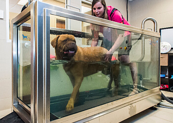 Barrie Cliniques Vétérinaires Allandale Veterinary Hospital