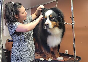 Trois Rivieres Salons de Toilettage Pour Animaux De Compagnie A La Fantaisie Animale