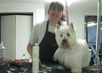 Trois Rivieres Salons de Toilettage Pour Animaux De Compagnie A La Fantaisie Animale