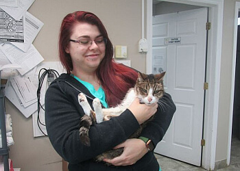 Windsor veterinary clinic Ambassador Animal Hospital