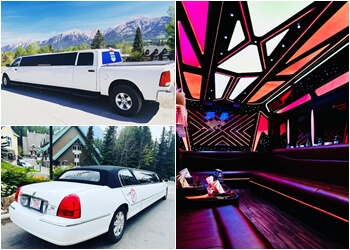 Red Deer Service De Limousine AM PM Limo & Party Bus