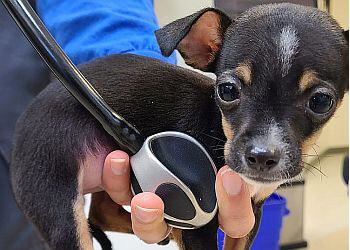 Brampton veterinary clinic Animal Care Clinic