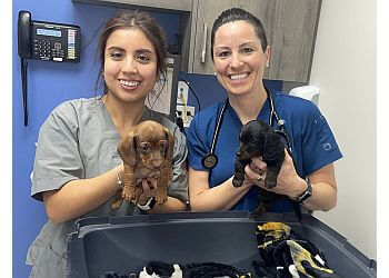 Brampton veterinary clinic Animal Care Clinic
