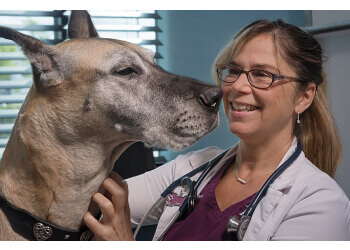 Langley veterinary clinic Animal Emergency Clinic of The Fraser Valley