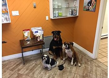 Sault Ste Marie veterinary clinic Animal Health Clinic