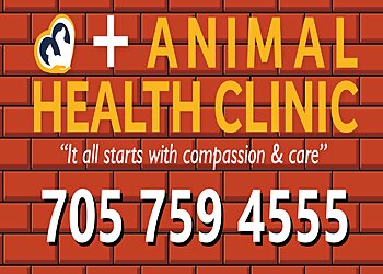 Sault Ste Marie veterinary clinic Animal Health Clinic