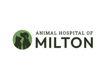 Milton veterinary clinic Animal Hospital of Milton