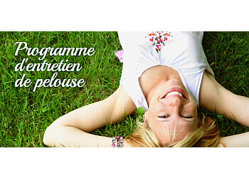 Shawinigan tree service APE Inc.