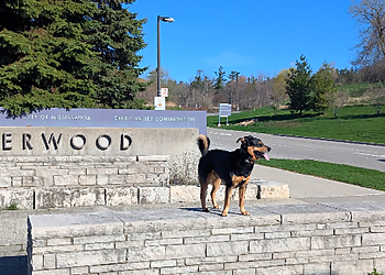 APEX Canine Training Academy APEX Canine Training Academy - Mississauga, ON Dog Trainers - Dog Image