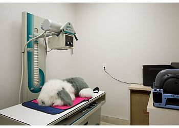 Markham veterinary clinic Apple Creek Animal Hospital
