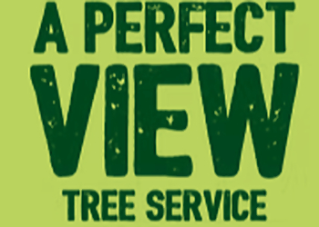 Huntsville Services d'arboriculteur A Perfect View Tree Service
