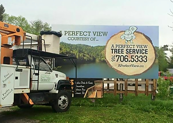 Huntsville Services d'arboriculteur A Perfect View Tree Service 