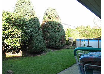 Richmond lawn care service A Plus Lawn and Garden