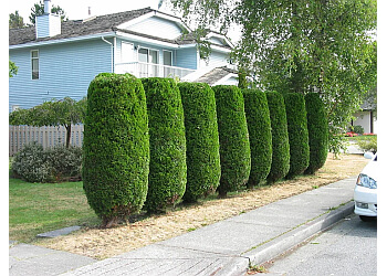 Richmond lawn care service A Plus Lawn and Garden