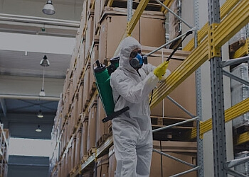 Milton pest control AR Pest Control Milton