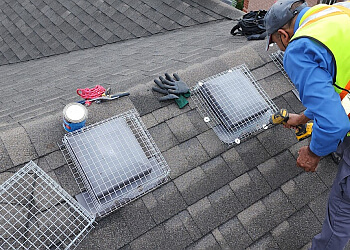 Mississauga Services d'extermination de parasites AR Pest Control Mississauga