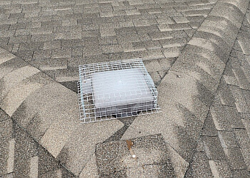 Mississauga Services d'extermination de parasites AR Pest Control Mississauga