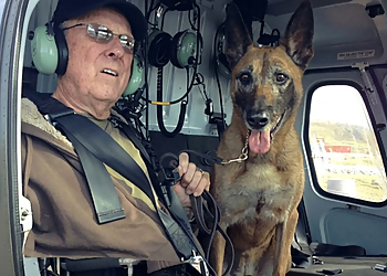 ATS K9 Detection dog - Welland, ON Dresseurs De Chiens - Dog Training Image